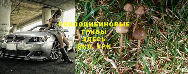 твердый Дмитров