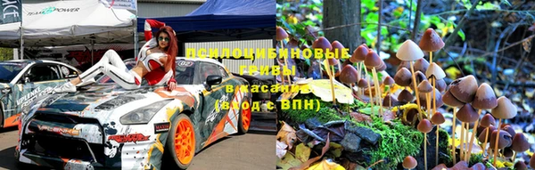 твердый Дмитров