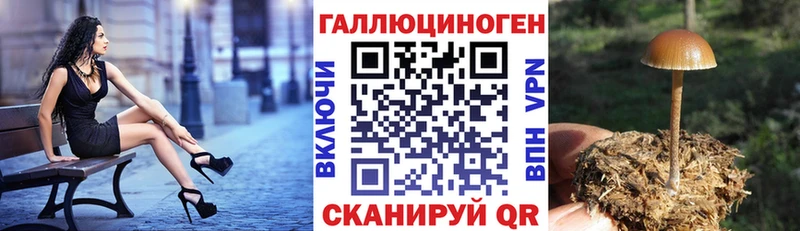 Псилоцибиновые грибы MAGIC MUSHROOMS  Купить  Киржач 